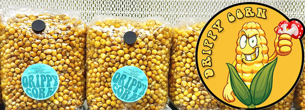 Drippy Corn: An Innovative Mushroom Grain Spawn