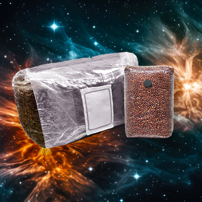 2 qt Shoebox Refill Kit – Sterile Grain + Substrate, Injection