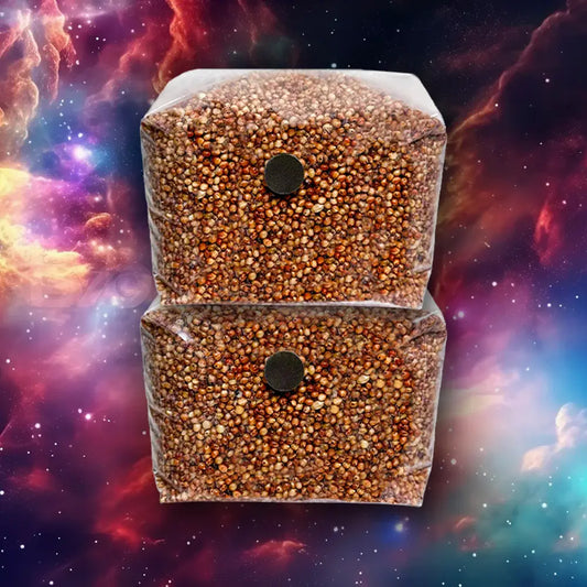 2 Pack of 3lb Milo Sorghum Sterile Mushroom Grain Bags