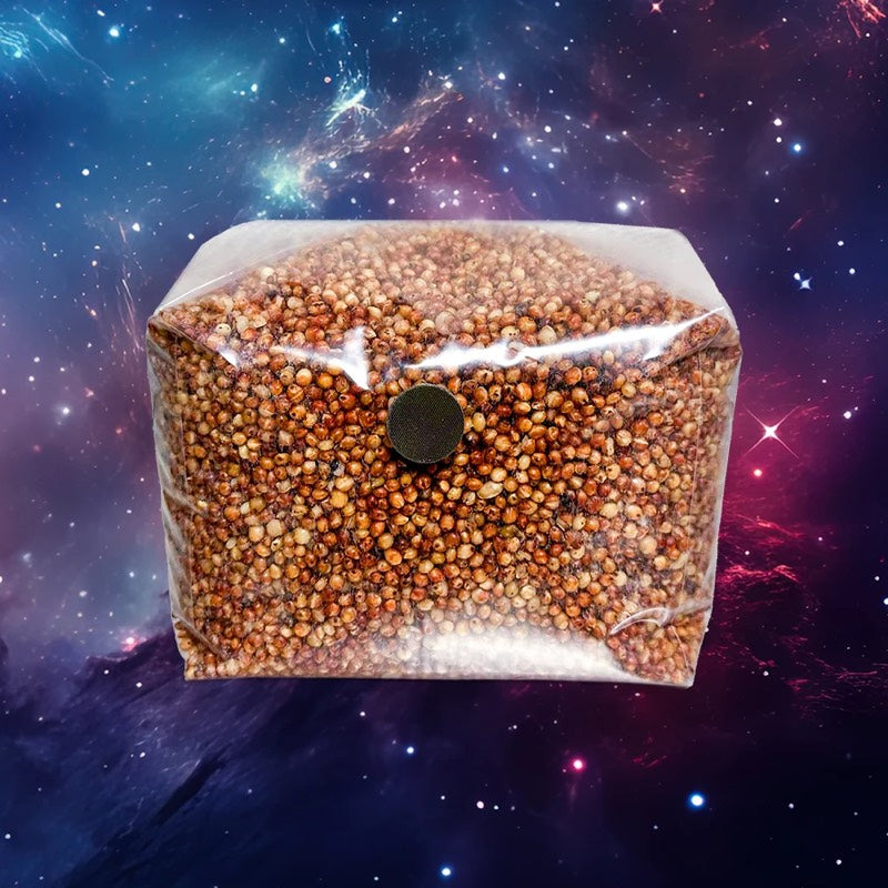 3lb sterile milo sorghum grain bag for mushroom cultivation, sealed Unicorn bag with self-healing injection port