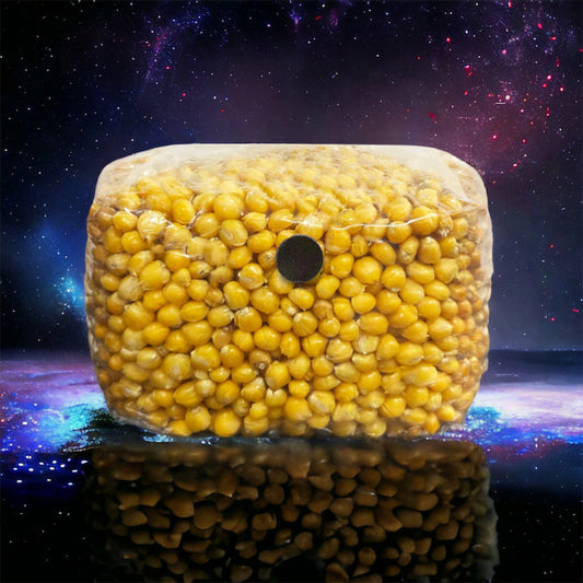 3lb Mushroom Corn Sterile Grain Bag