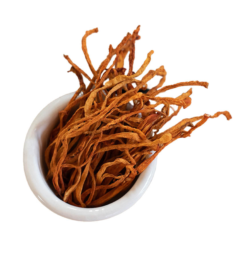 Cordyceps  Mushroom- Tincture