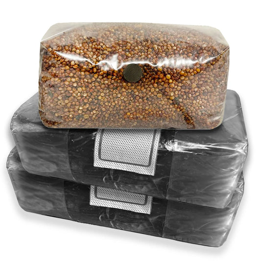 Vacuum‑sealed clear bag of sterile 5 lb milo grain with front injection port resting atop two sealed 10 lb CVG substrate blocks.