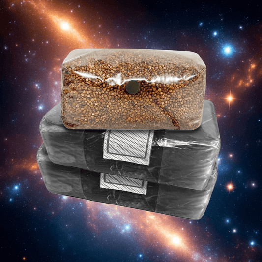 Stacked refill kit components against stylized cosmic background: milo grain bag on top of two CVG substrate blocks.