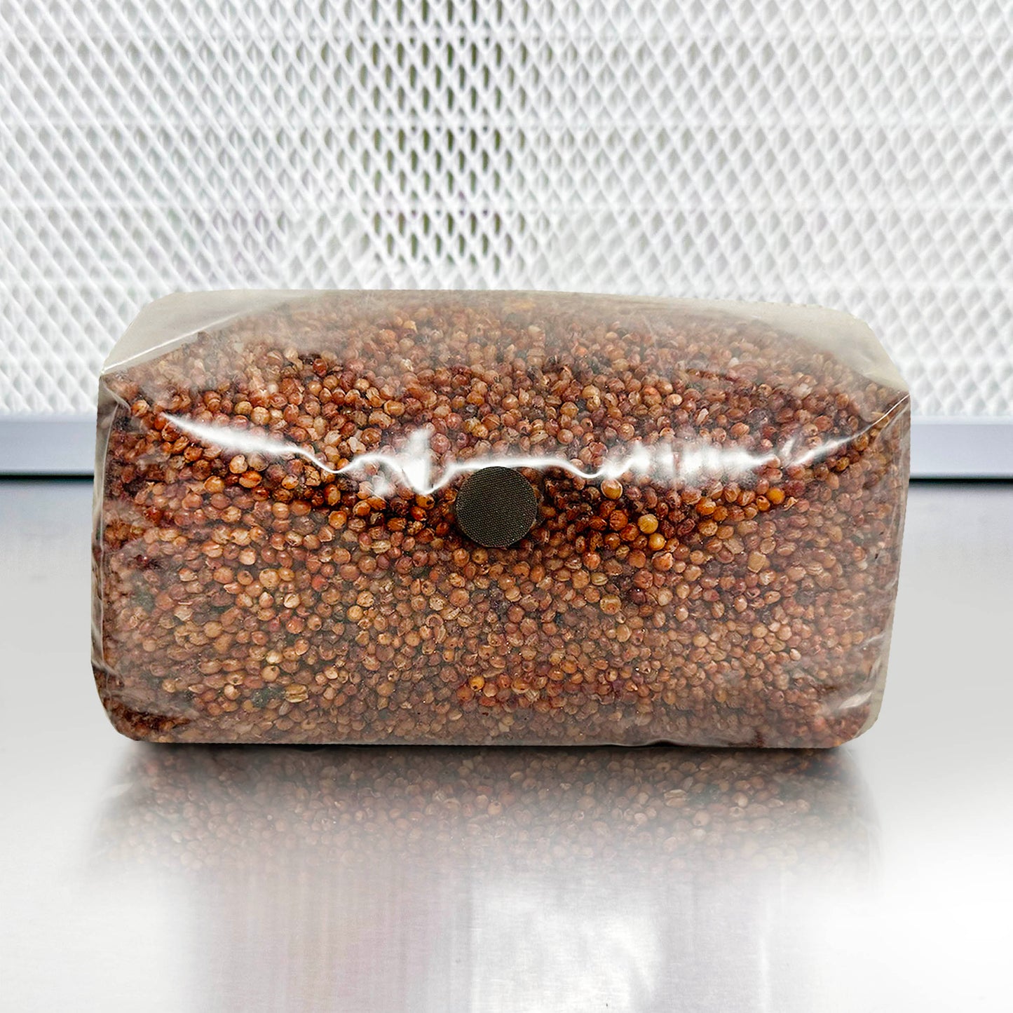 5-pound bag of sterile milo (sorghum) grain spawn in Unicorn bag with built-in injection port