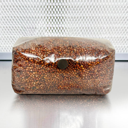 5-pound bag of sterile milo (sorghum) grain spawn in Unicorn bag with built-in injection port