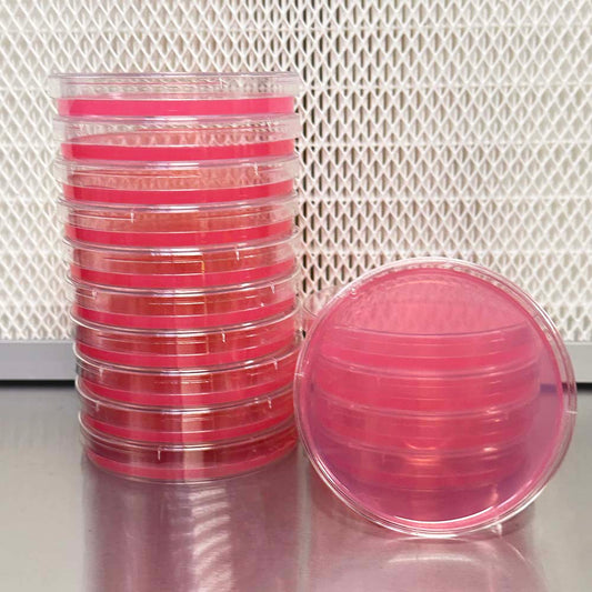 Low Nutrient Agar for Fungi Culturing – Sterile, High-Quality Media