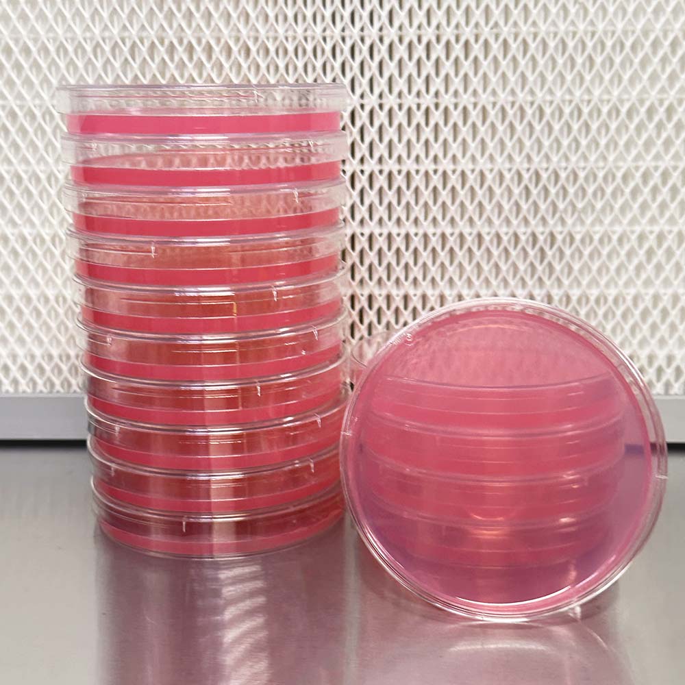 MYA Agar for Fungi Culturing – Sterile, High-Quality Malt Yeast Agar