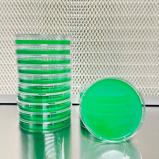 MYA Agar for Fungi Culturing – Sterile, High-Quality Malt Yeast Agar