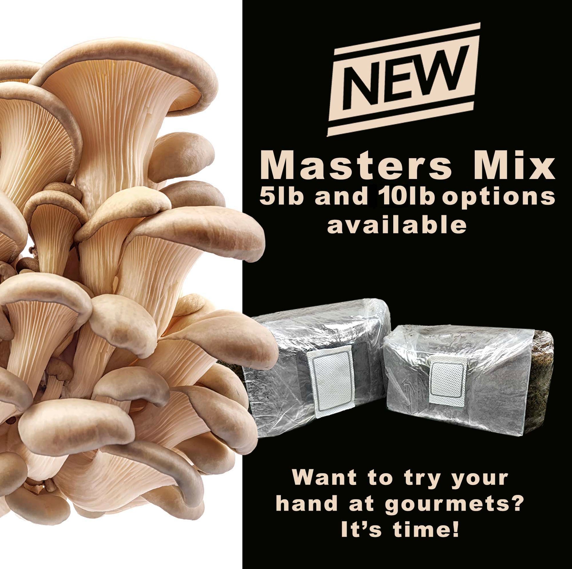 Masters Mix Substrate - Premium Blend for Gourmet Mushrooms
