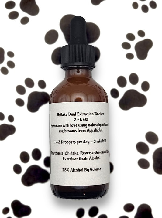 Shiitake Mushroom- Tincture