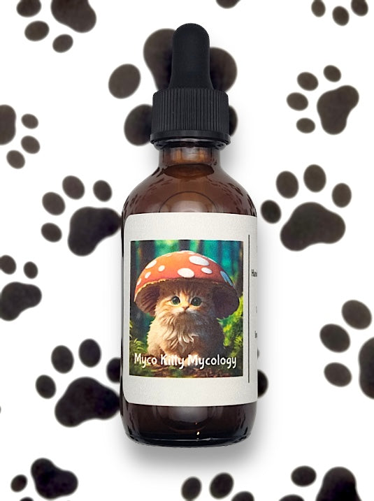 Turkey Tail Mushroom - Tincture