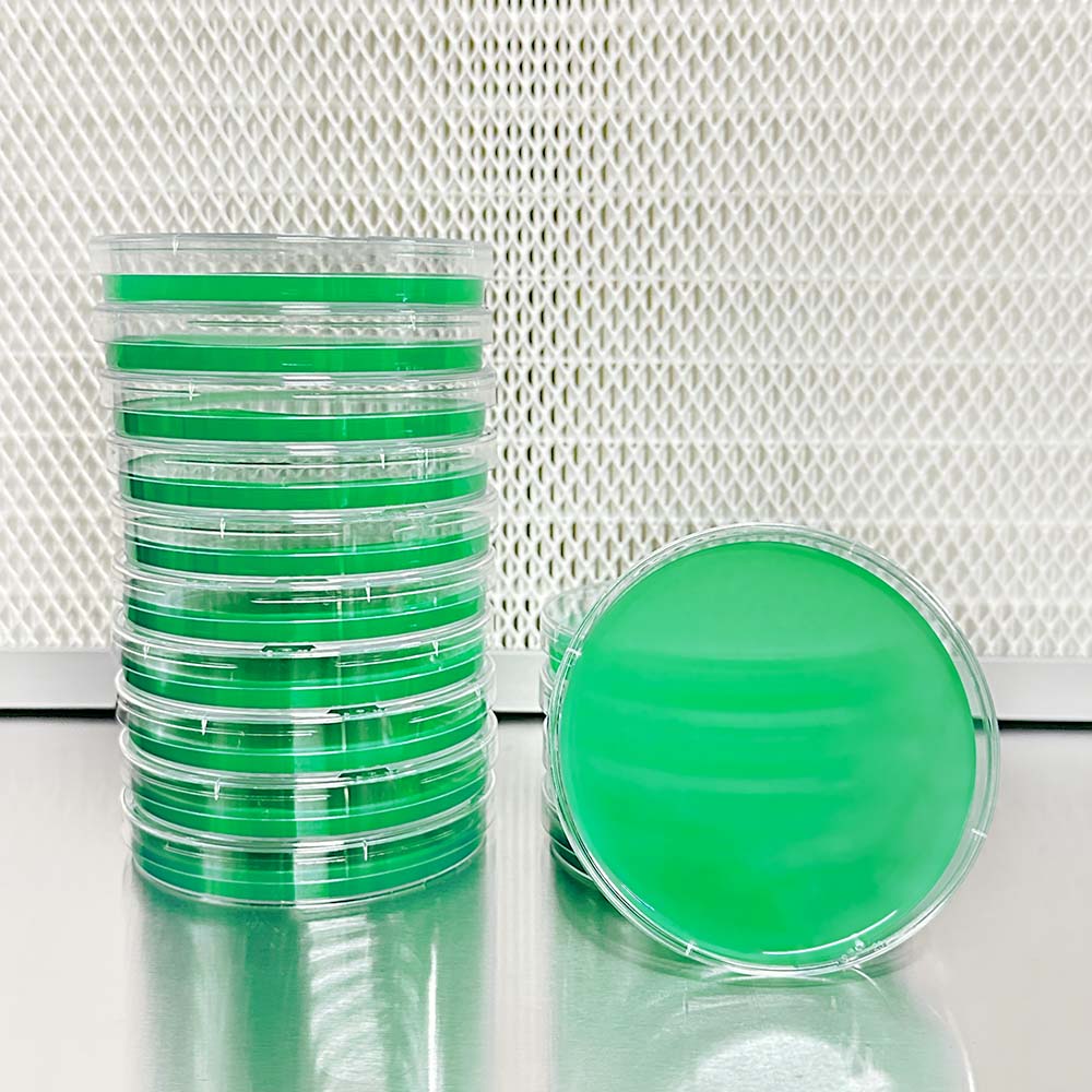 MEA Agar - Mycologysimplified