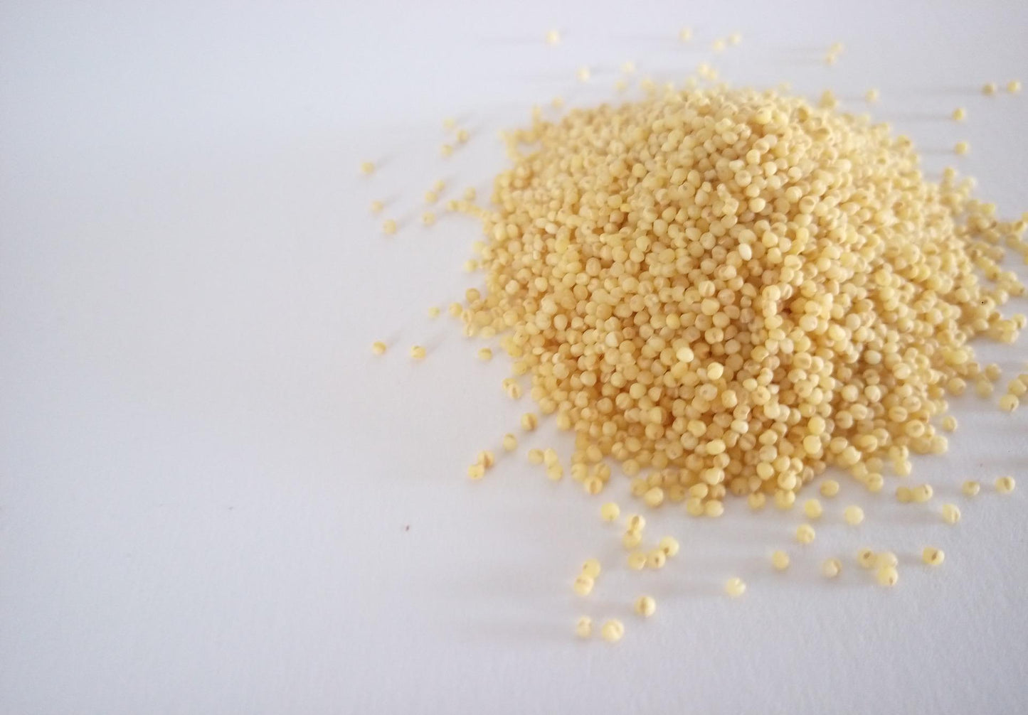 3lb Millet Sterile Mushroom Grain Spawn