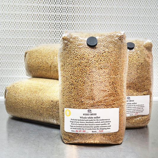 3lb Millet Sterile Mushroom Grain Spawn
