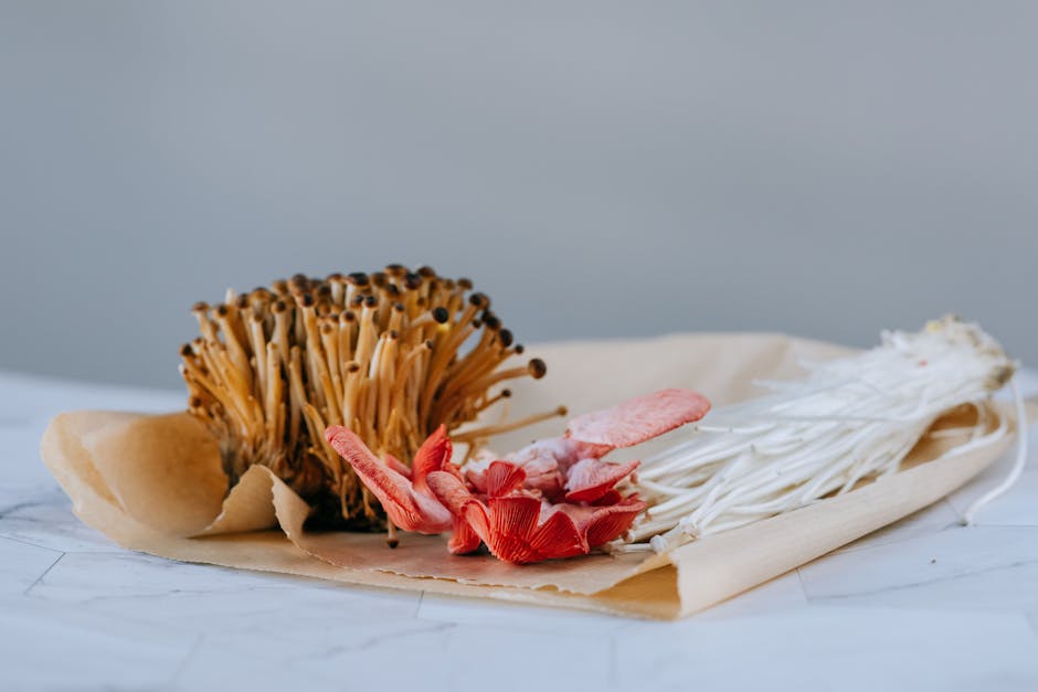 Introduction to Mycology and the Importance of Mushroom Liquid Culture vs Spores