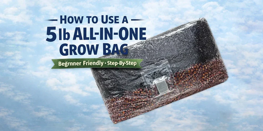 How to Use a 5 lb All-In-One Grow Bag (Step-by-Step Guide)
