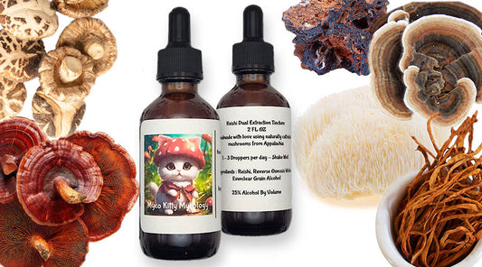Mycology Simplified is now offering Myco Kitty Tinctures!