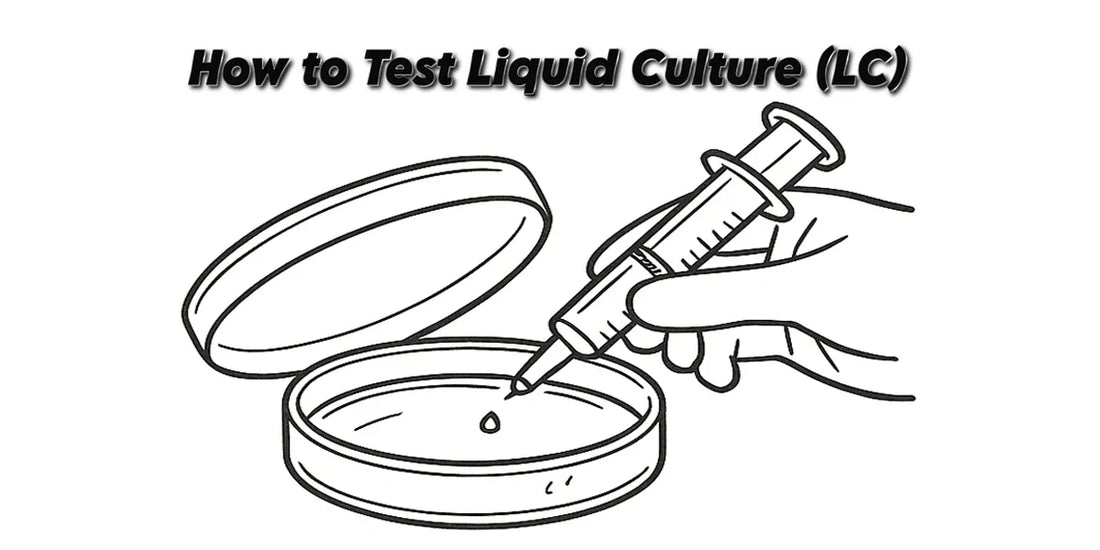 How to Test Liquid Culture on Agar (Clean vs Contaminated LC Guide)