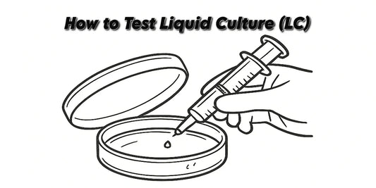 How to Test Liquid Culture on Agar (Clean vs Contaminated LC Guide)