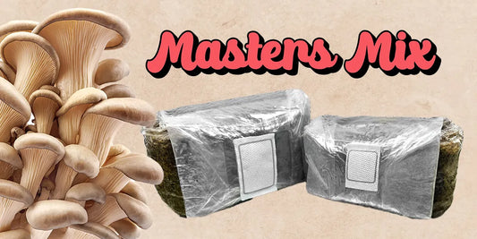 Maximizing Your Mushroom Yield: The Benefits of Using Masters Mix Substrate