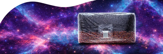 How Our 5 lb All-In-One Mushroom Grow Bags Are Made | Sterilized & Small Batch