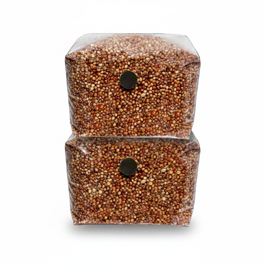 Two-pack of 3 lb sterile milo sorghum mushroom grain spawn bags