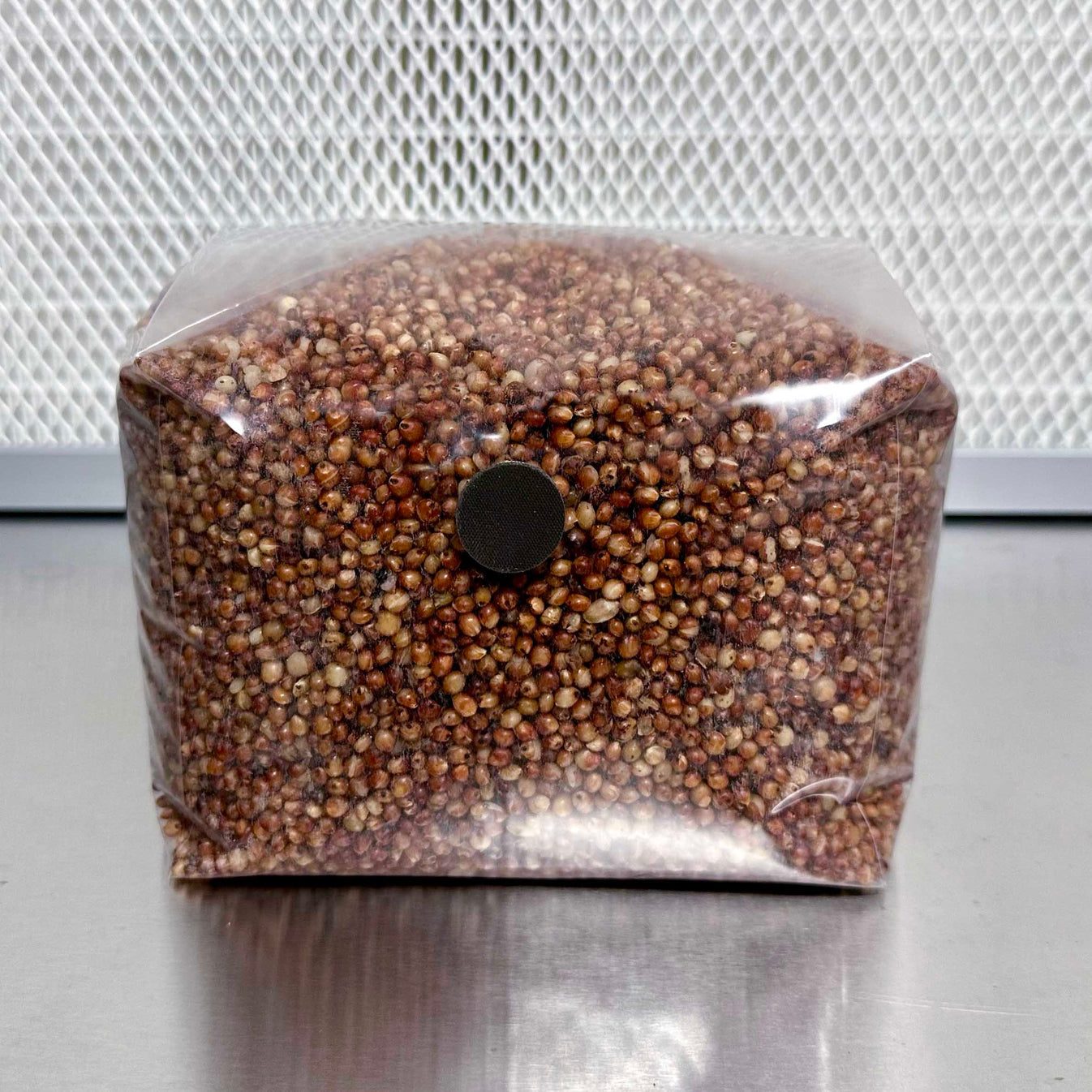 3 lb sterile milo sorghum mushroom grain spawn bag