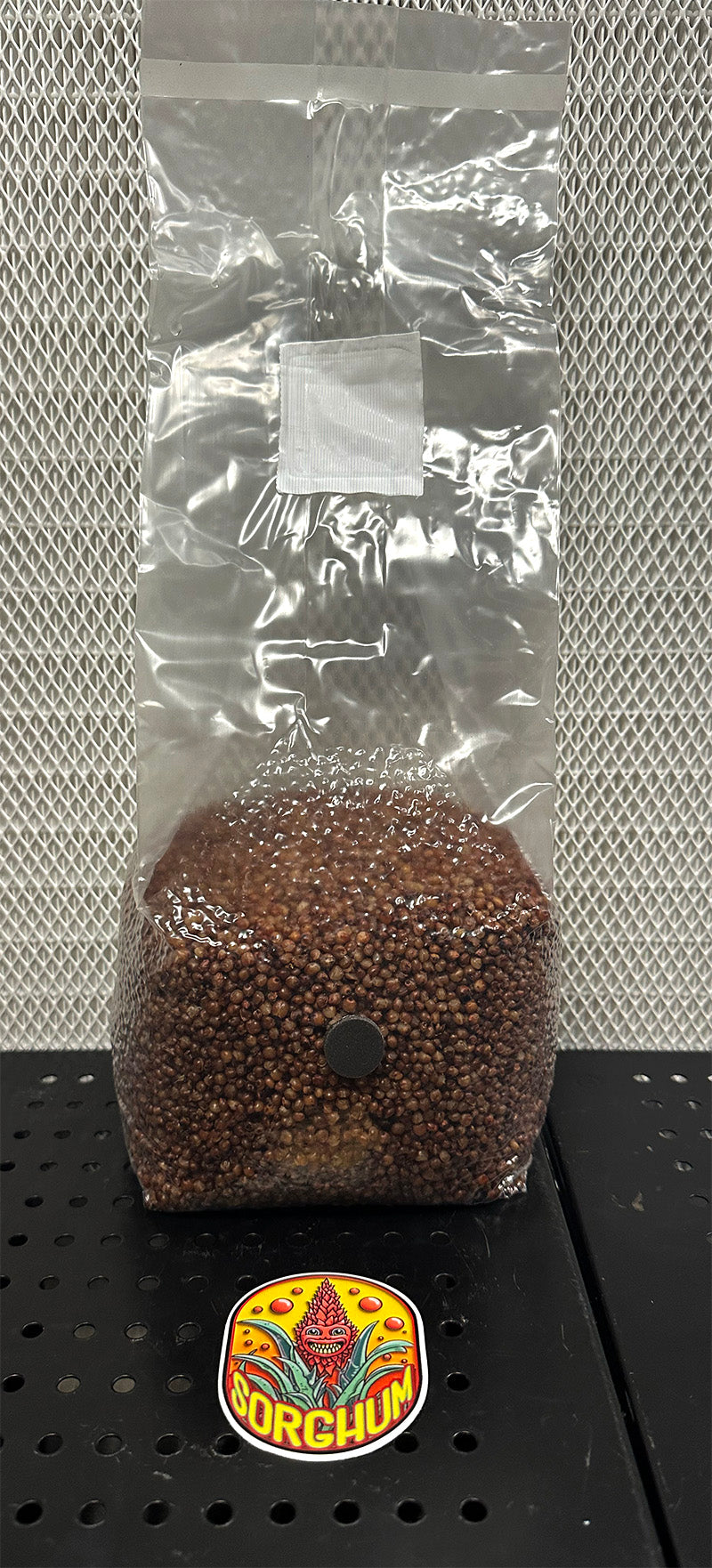 3lb Milo Sorghum Mushroom Sterile Grain Bag 