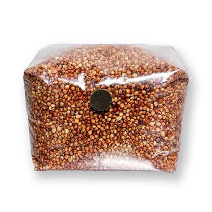 Engendro de grano de champiñón estéril Milo / Sorgo de 3 lb