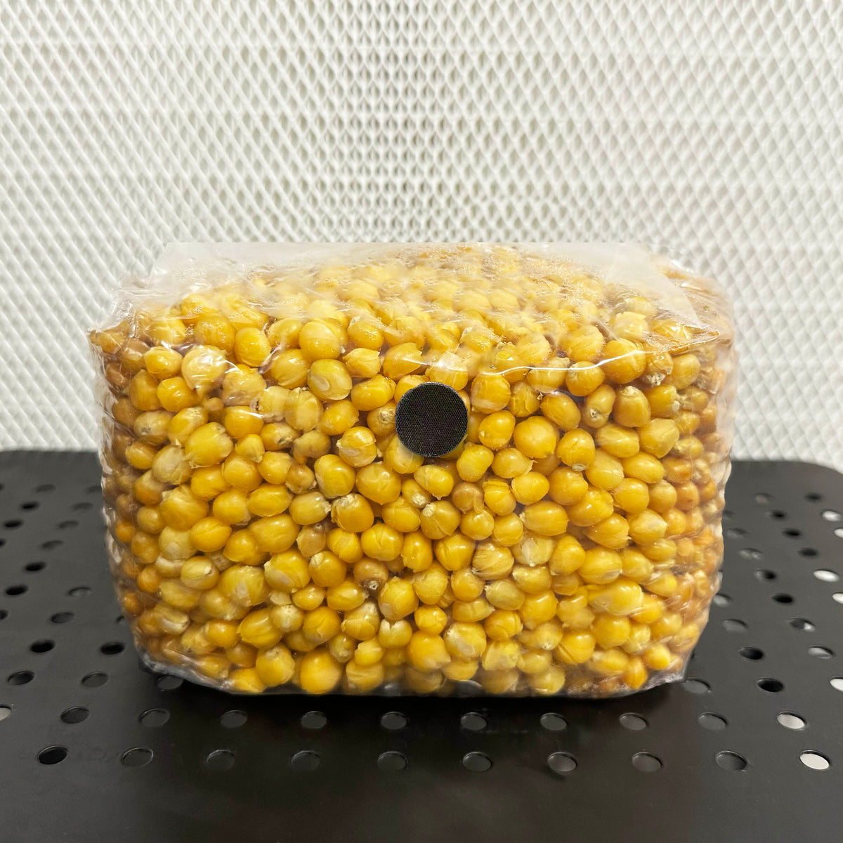Corn Spawn 3 lb Sterile Corn Mushroom Grain Spawn Bag – Organic Popcorn ...