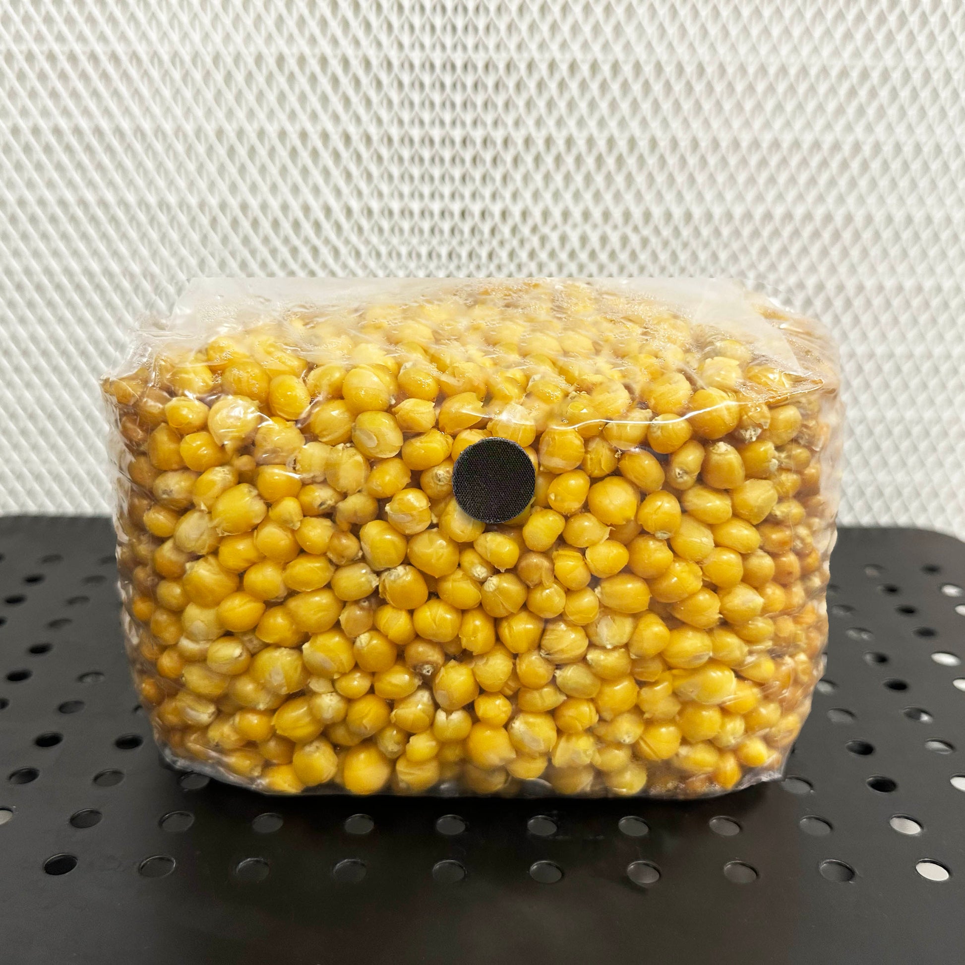 3lb Mushroom Corn Sterile Grain Bag 