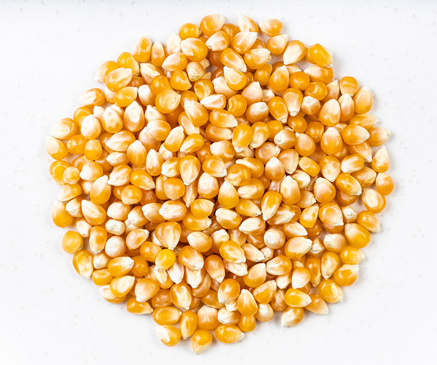 3lb Mushroom Corn Sterile Grain Bag 