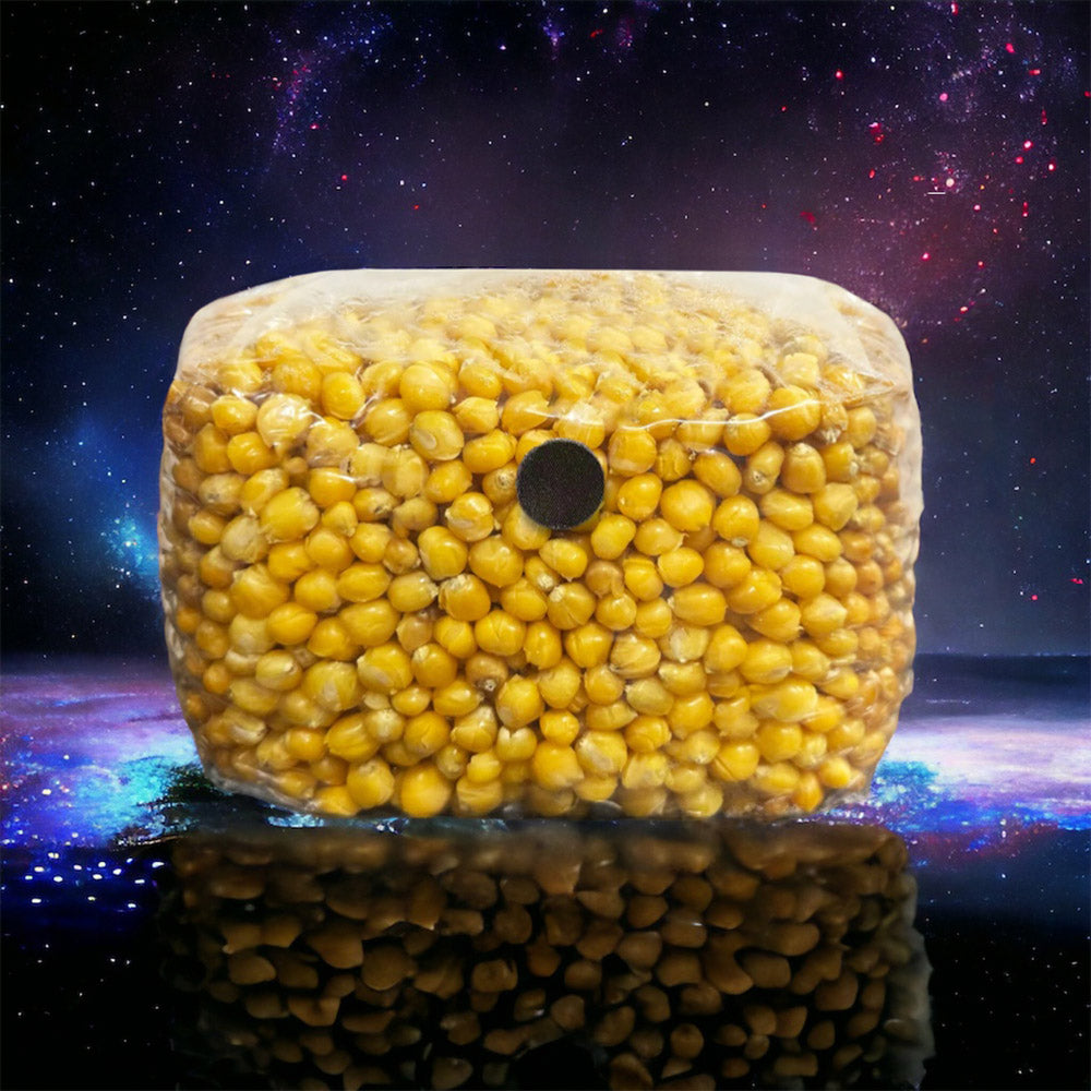 3lb Mushroom Corn Sterile Grain Bag 