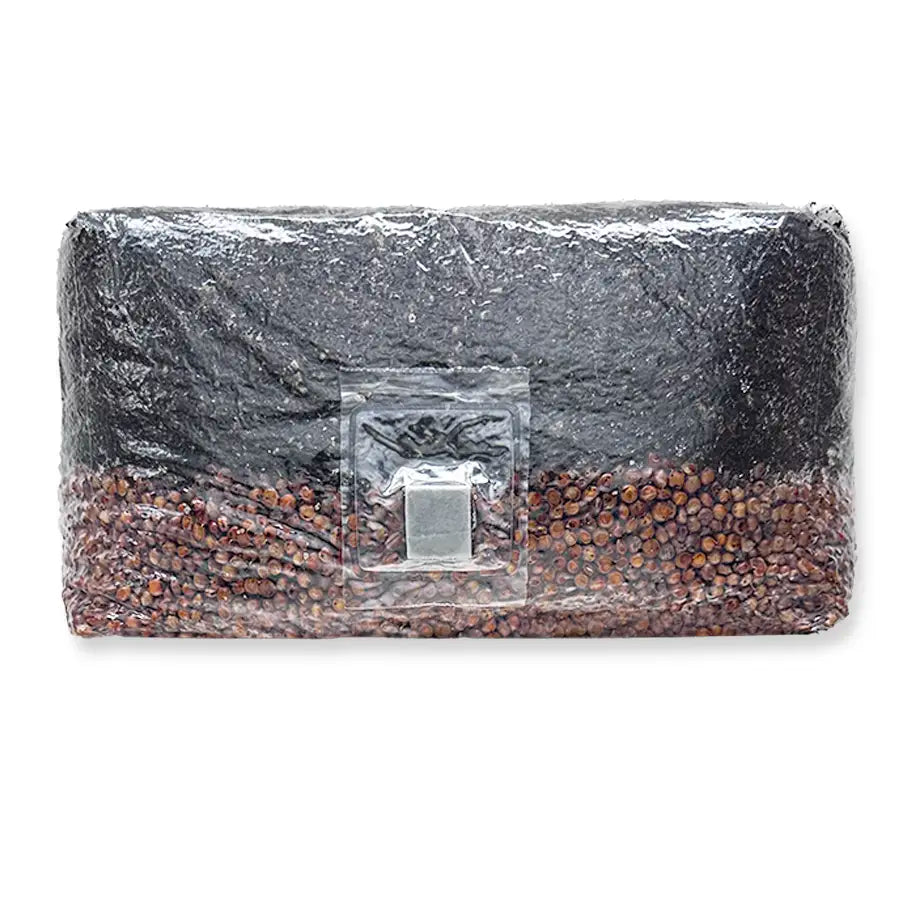5 lb All-In-One Mushroom Grow Bag | Sterilized Grain + Substrate