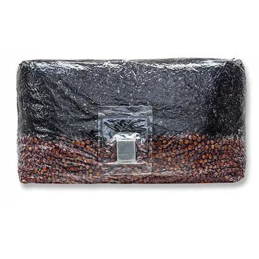 Black clutch bag with clear square clasp on a white background