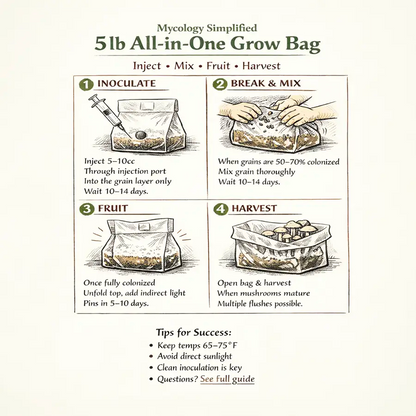 Instructions for using a 5lb All-in-One Grow Bag for mycology on a white background.