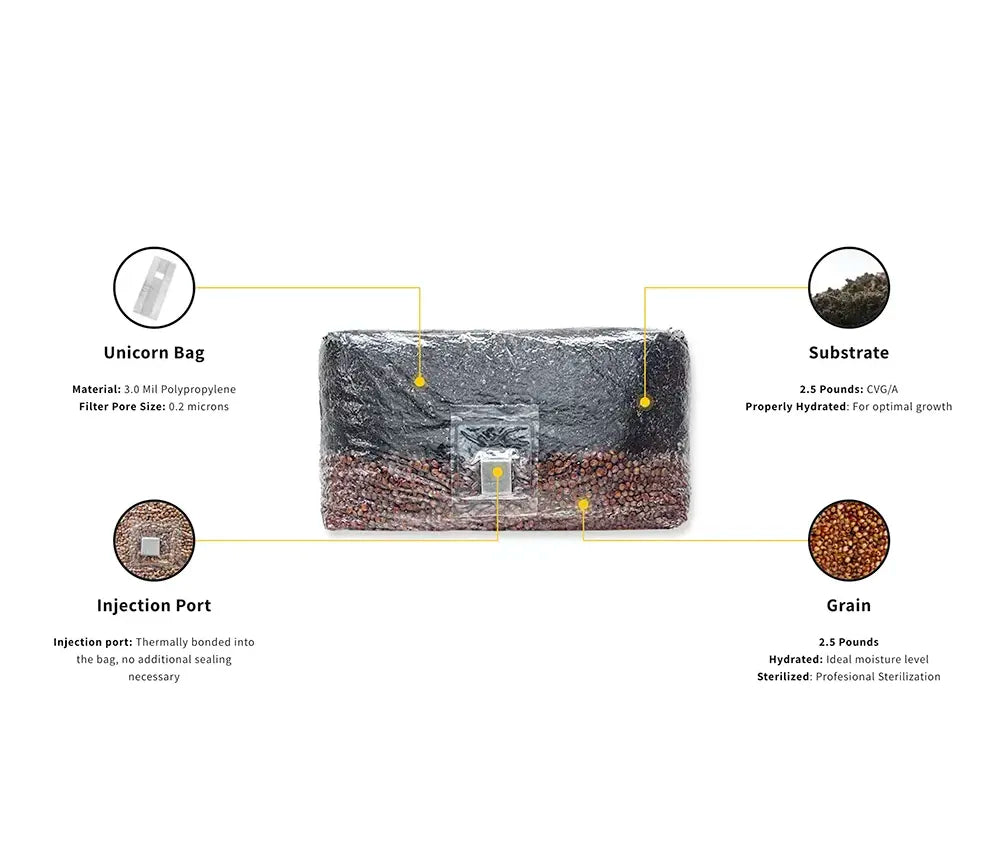Diagram of a product packaging with labeled components on a white background