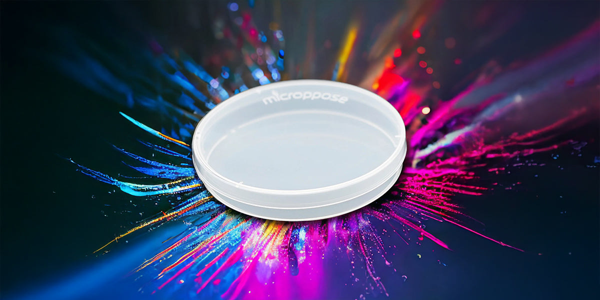 custom-slideshow-image-desktop-block_fqEDD3