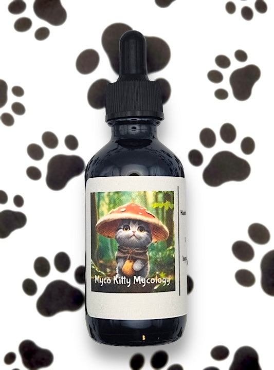 Chaga Mushroom - Tincture 