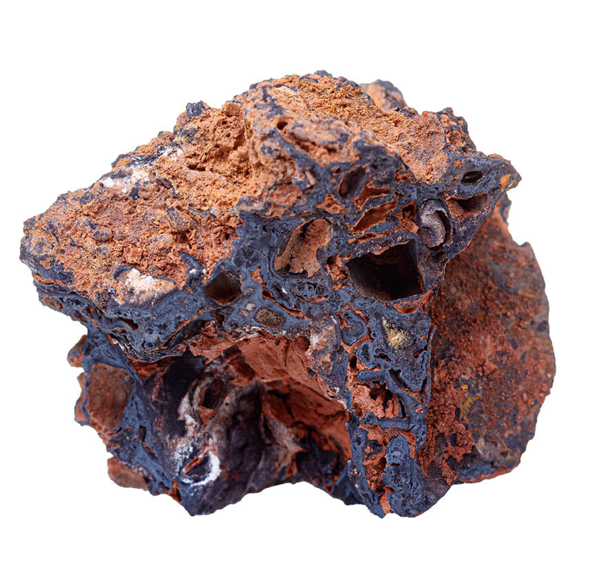 Chaga Mushroom - Tincture 