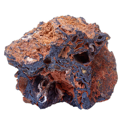 Chaga Mushroom - Tincture 