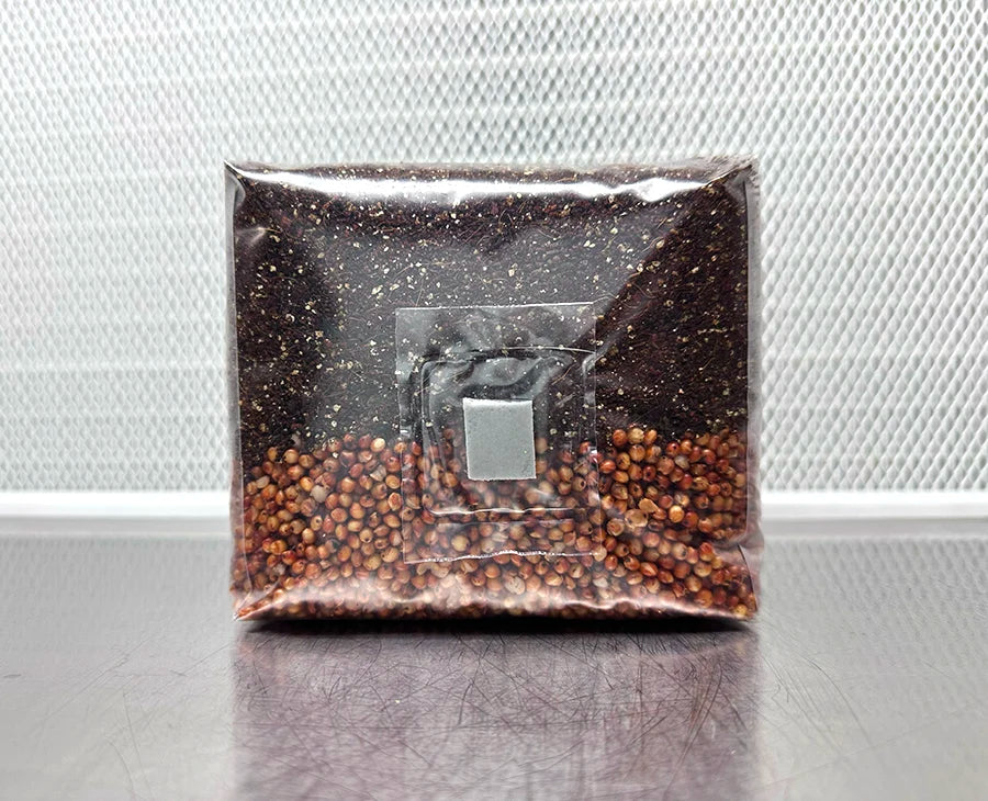 Clear plastic bag with coffee beans on a metallic surface