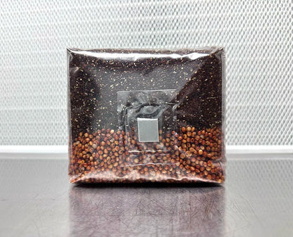 Clear plastic bag with coffee beans on a metallic surface