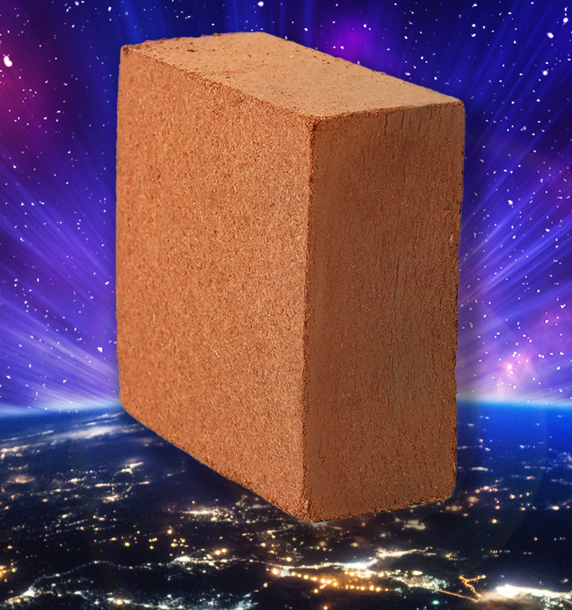 Coco Coir Brick 10lb 