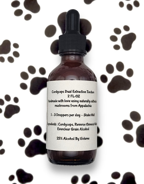 Cordyceps  Mushroom- Tincture 