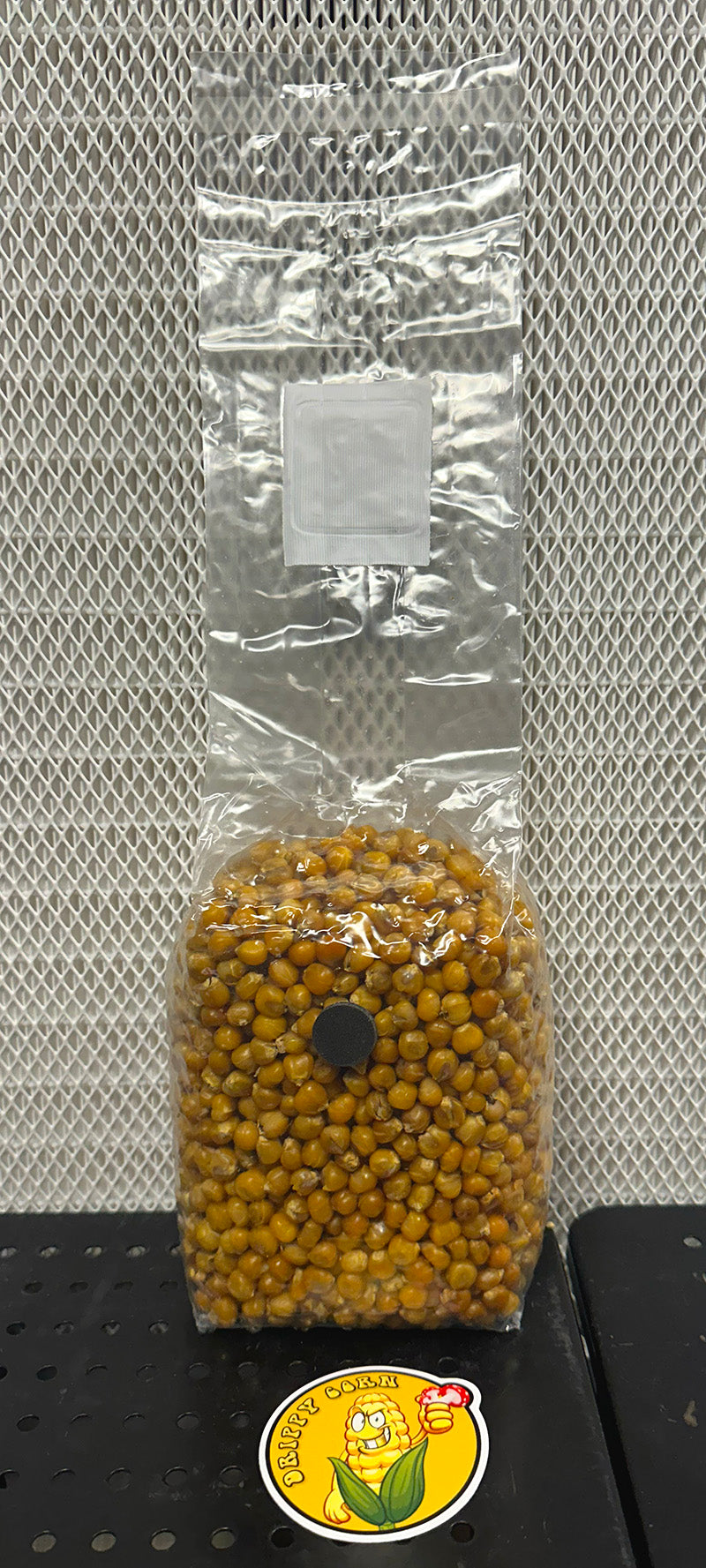 Engendro de grano de champiñones de maíz goteante