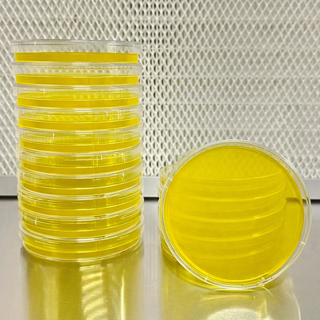 Stack of yellow petri dishes on a metallic surface with a textured white background