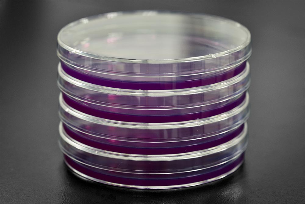 Placas De Petri De Agar Con Extracto De Malta (MEA) Para Cultivo De Hongos, Placas De Petri Con Agar (10 Placas De Agar Prevertidas