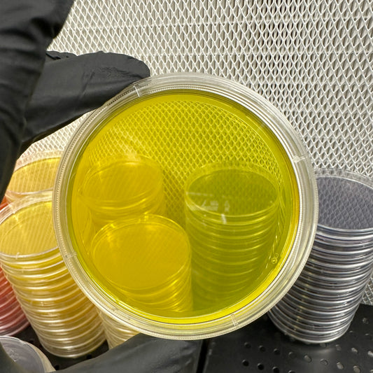 Stack of clear plastic containers with yellow interior on a metal surface.